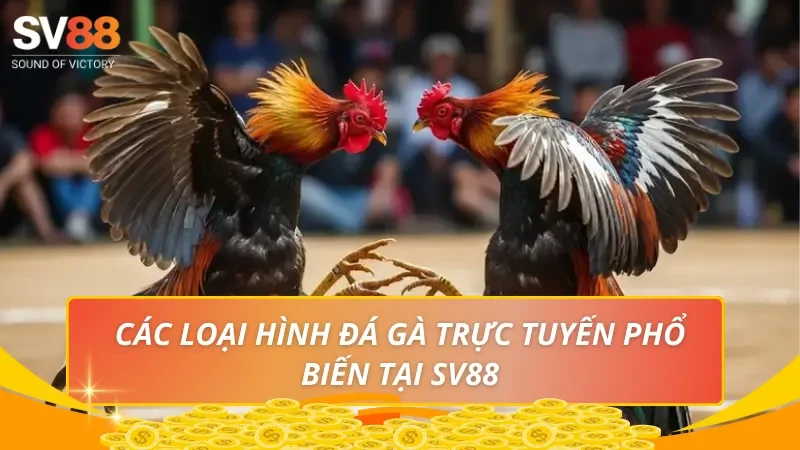 Các loại hình đá gà trực tuyến phổ biến tại SV88