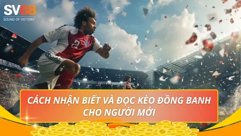 Cách nhận biết và đọc kèo đồng banh cho người mới
