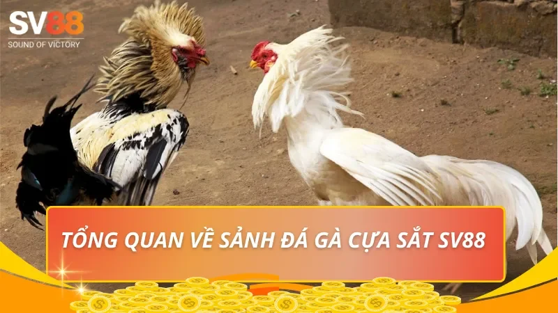 Tổng quan về sảnh đá gà cựa sắt SV88